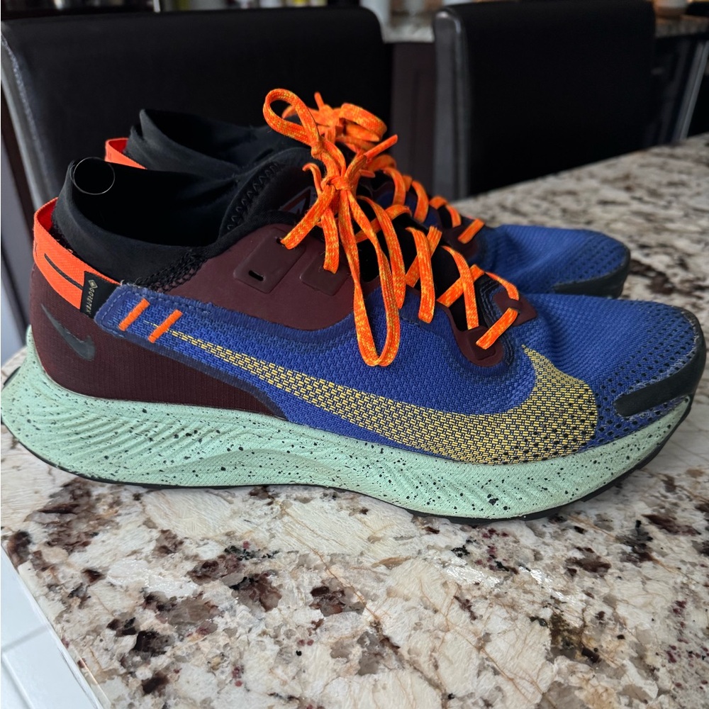 Mens Trail Nike Pegasus GTX